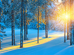 Winterstille
